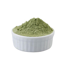 Hot sell good quality 100% Natural celery juice powder
